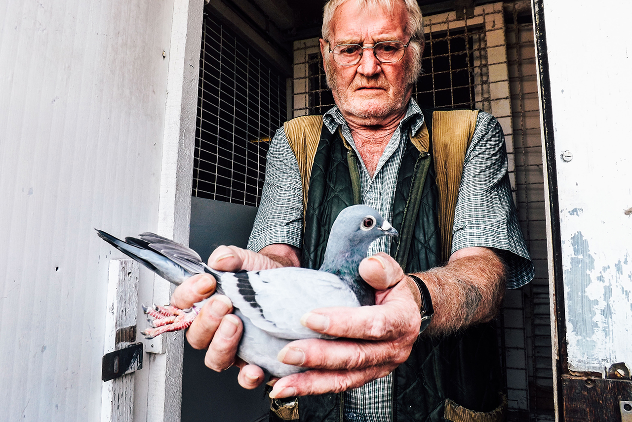 鳩を抱える男性